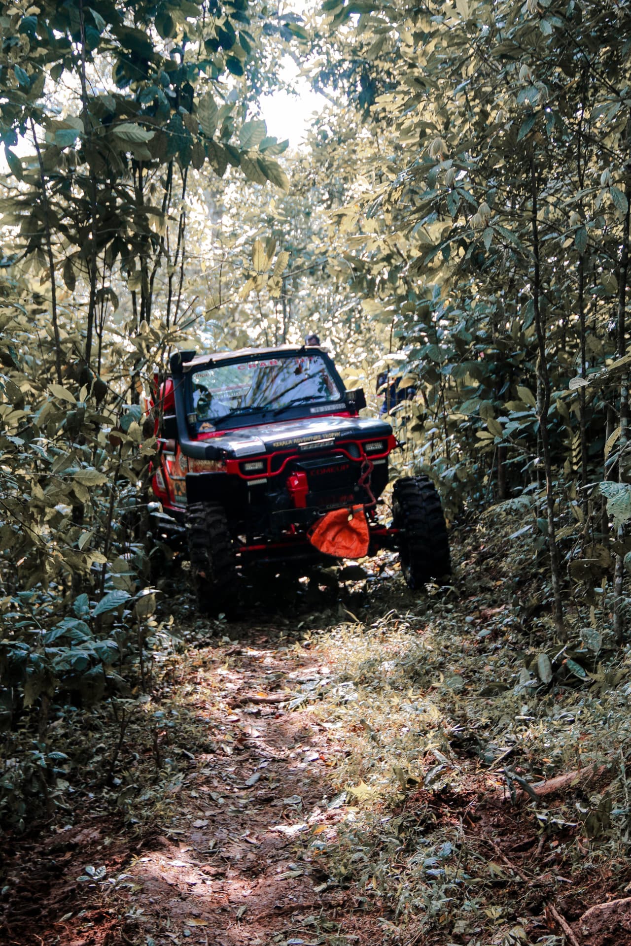 A UTV working through a narrow wooded trail