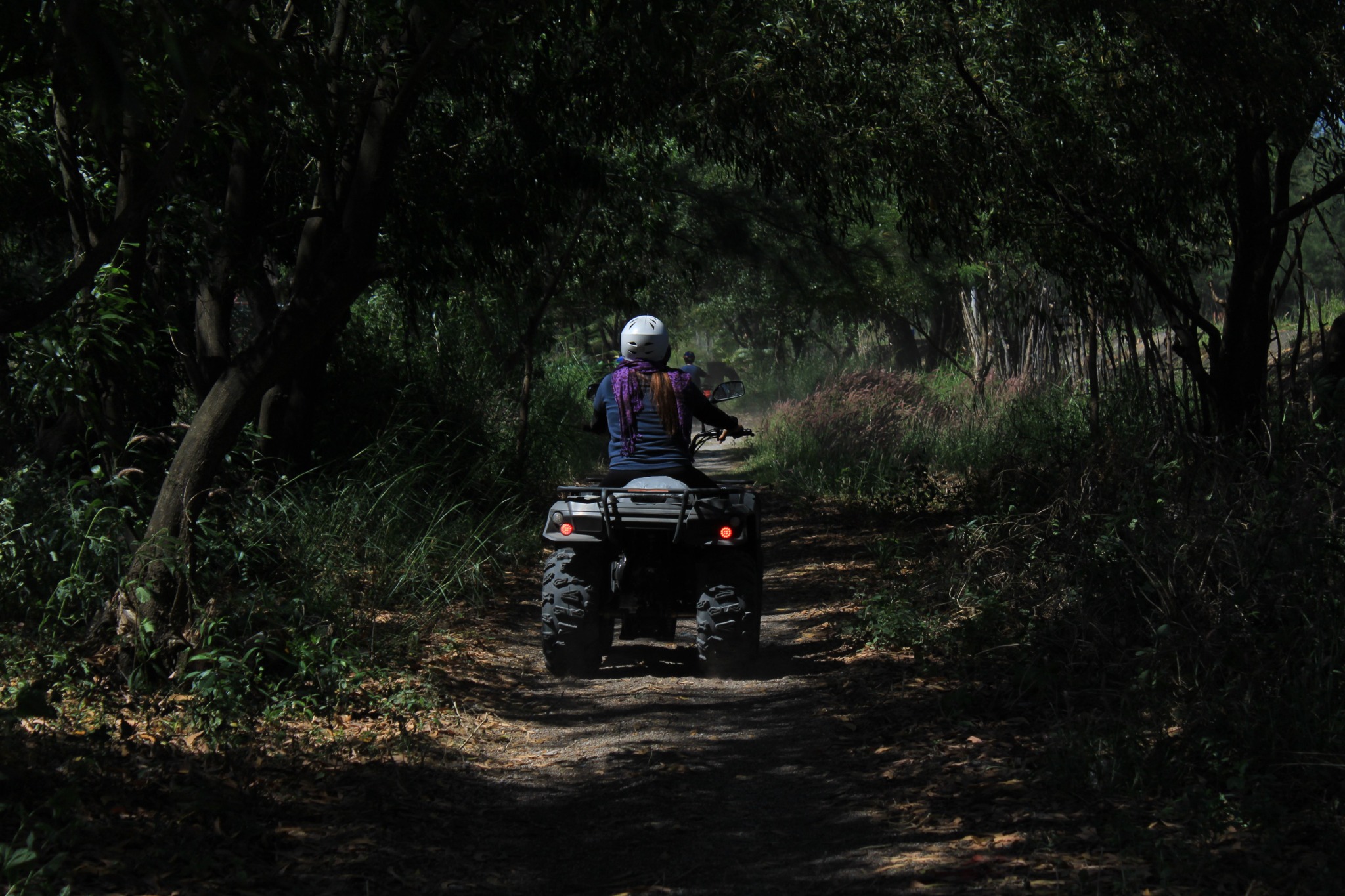 An ATV rider on a wooded regional trail