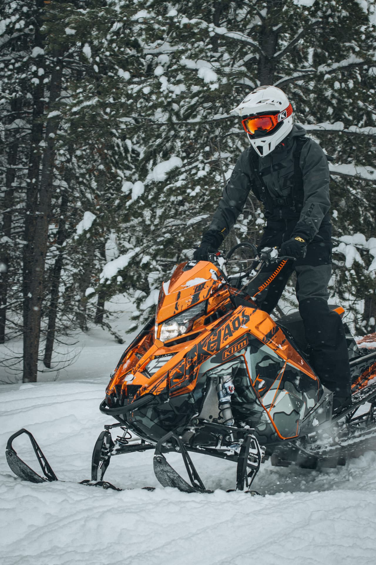 A snowmobiler riding through snow-covered pines