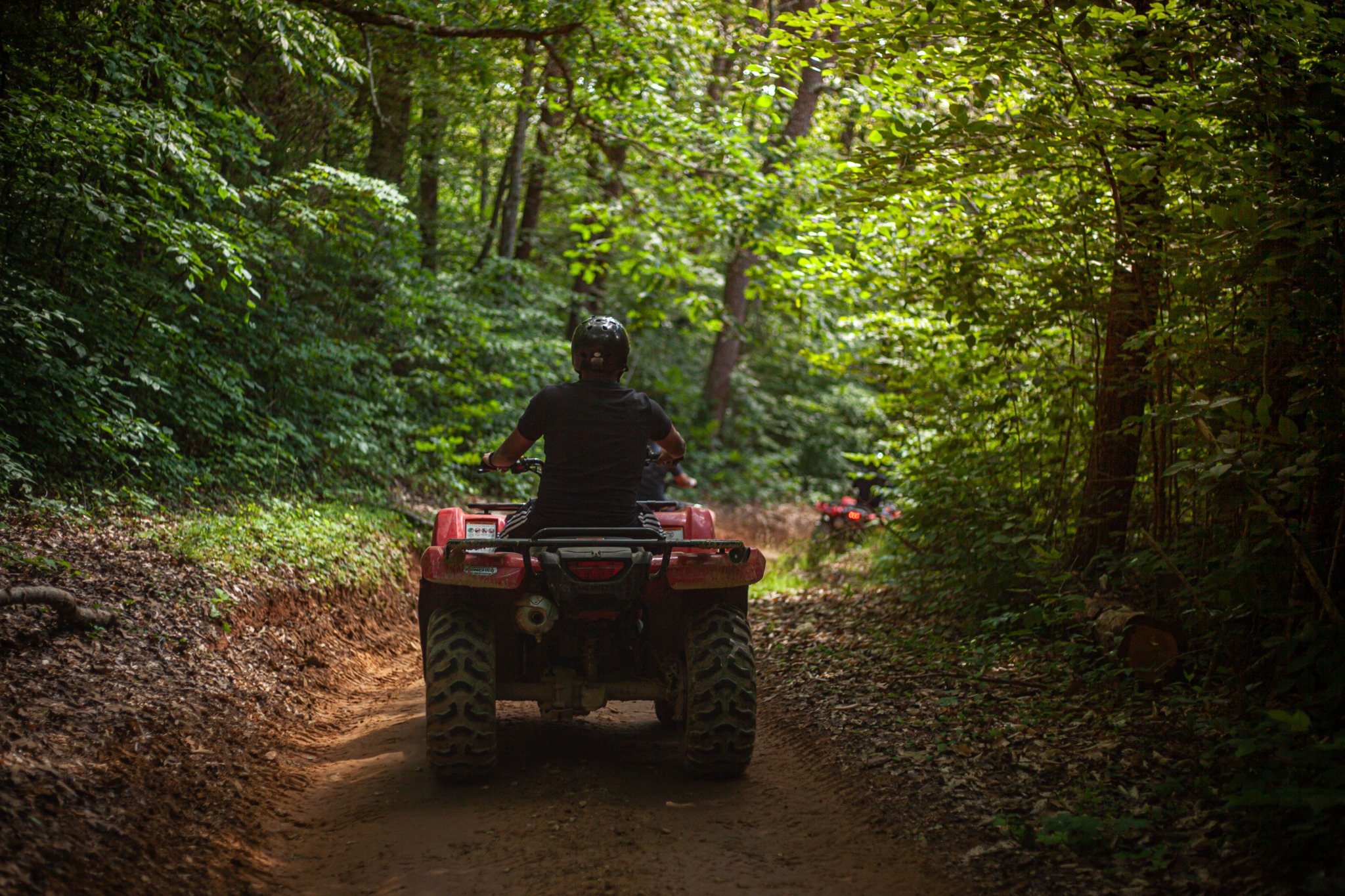 An ATV on a forest trail in the Northwoods