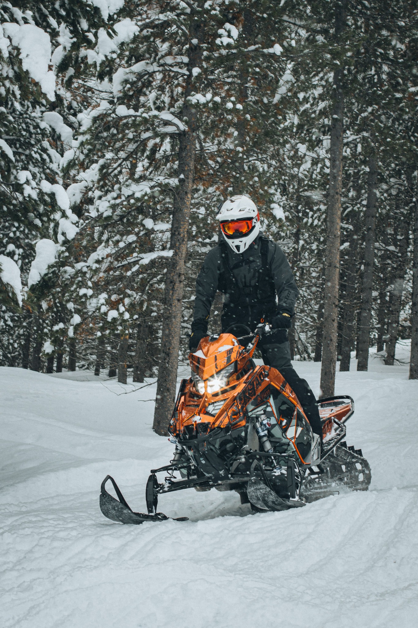 A snowmobile rider on a snowy forest trail