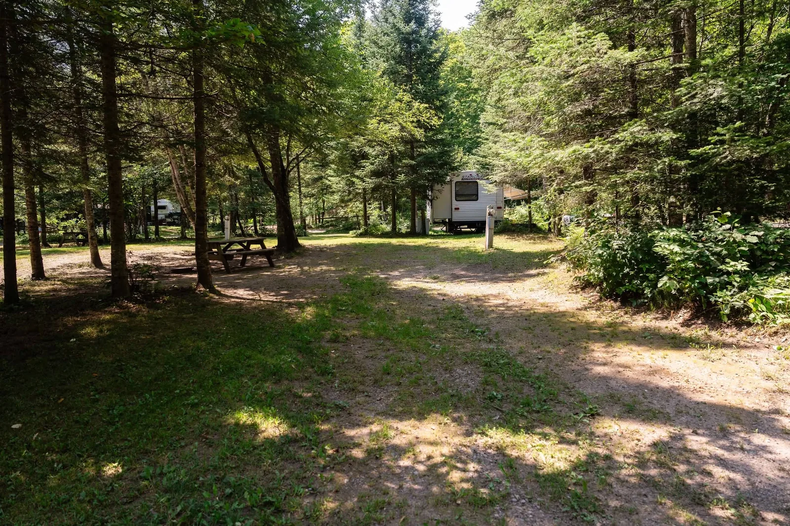 Wooded primitive campsite in a shaded clearing